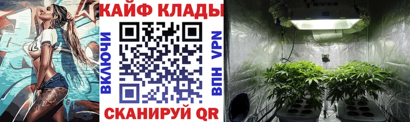 Наркота Керчь ТГК  Галлюциногенные грибы  ГАШ  Меф  COCAIN  МАРИХУАНА  A-PVP  АМФ 