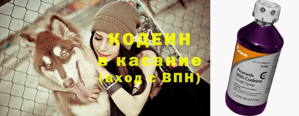соль ск Абаза