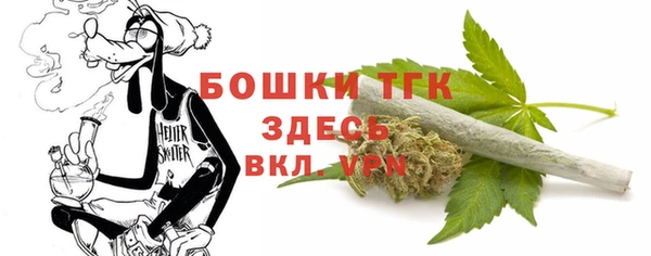 соль ск Абаза