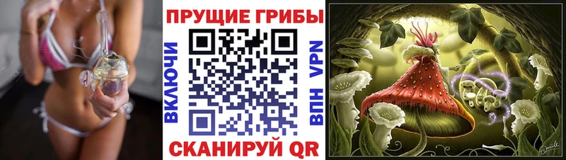 дарнет шоп  Керчь  Псилоцибиновые грибы GOLDEN TEACHER 