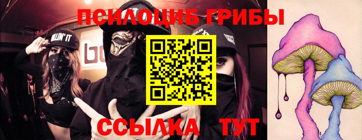 Псилоцибиновые грибы MAGIC MUSHROOMS  Вход с VPN  Керчь  наркотики  Галлюциногенные грибы прущие грибы 