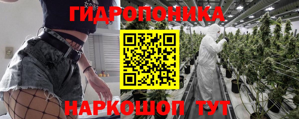 Бошки Шишки план  Вход с VPN  Каннабис индика  МАРИХУАНА планчик  Конопля Amnesia  Керчь 